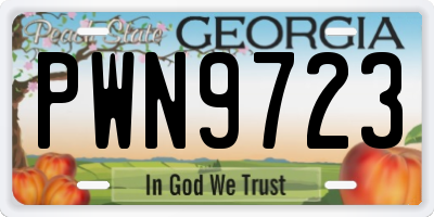 GA license plate PWN9723