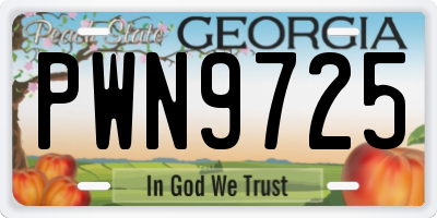 GA license plate PWN9725