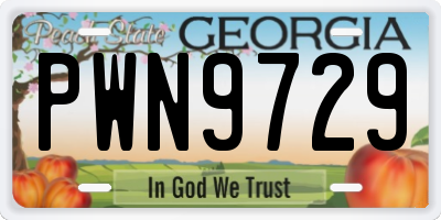 GA license plate PWN9729