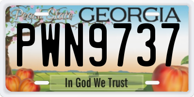 GA license plate PWN9737