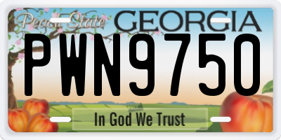 GA license plate PWN9750