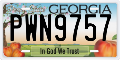 GA license plate PWN9757