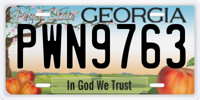 GA license plate PWN9763