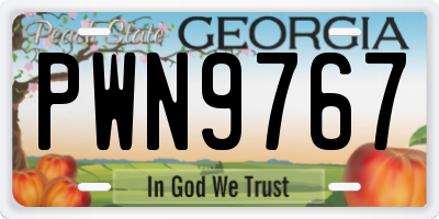GA license plate PWN9767