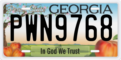 GA license plate PWN9768