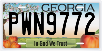 GA license plate PWN9772