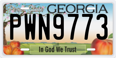 GA license plate PWN9773