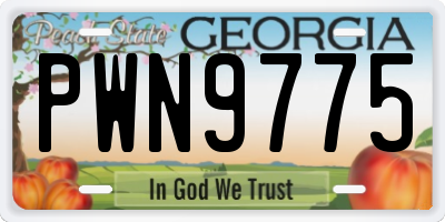 GA license plate PWN9775