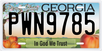 GA license plate PWN9785