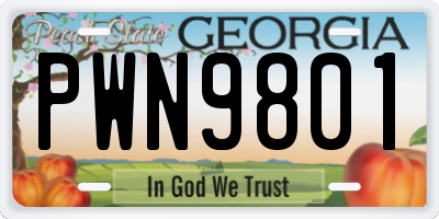 GA license plate PWN9801