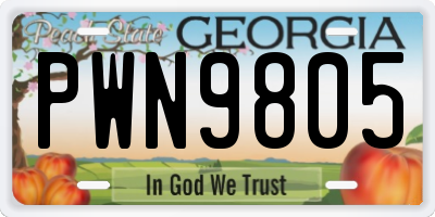 GA license plate PWN9805