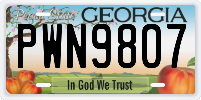 GA license plate PWN9807