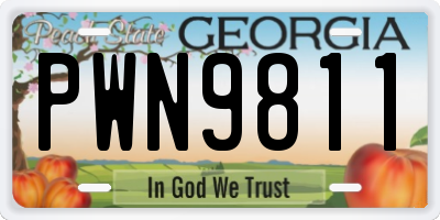 GA license plate PWN9811