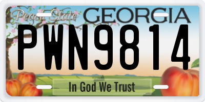 GA license plate PWN9814