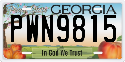 GA license plate PWN9815