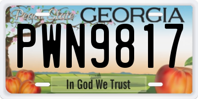GA license plate PWN9817