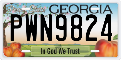 GA license plate PWN9824