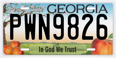 GA license plate PWN9826