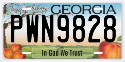 GA license plate PWN9828