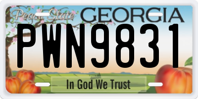 GA license plate PWN9831