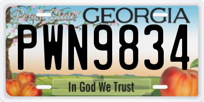 GA license plate PWN9834