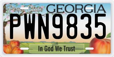 GA license plate PWN9835
