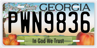 GA license plate PWN9836