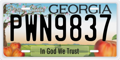 GA license plate PWN9837