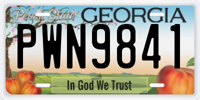 GA license plate PWN9841