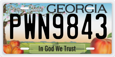 GA license plate PWN9843
