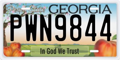 GA license plate PWN9844