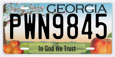 GA license plate PWN9845