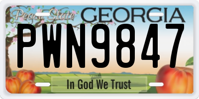GA license plate PWN9847