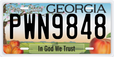 GA license plate PWN9848