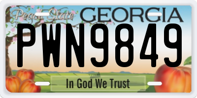 GA license plate PWN9849