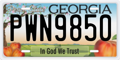 GA license plate PWN9850