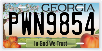 GA license plate PWN9854