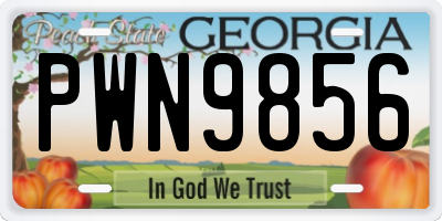 GA license plate PWN9856