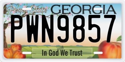 GA license plate PWN9857