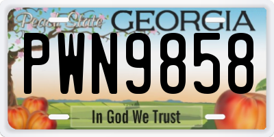 GA license plate PWN9858