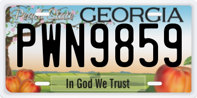 GA license plate PWN9859