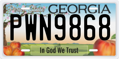 GA license plate PWN9868