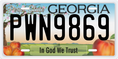 GA license plate PWN9869