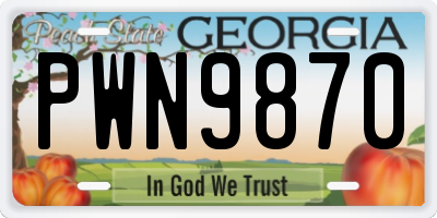 GA license plate PWN9870