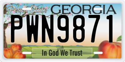 GA license plate PWN9871