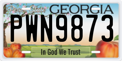 GA license plate PWN9873