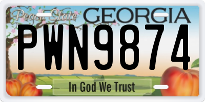 GA license plate PWN9874