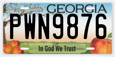 GA license plate PWN9876