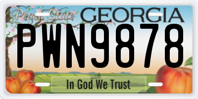 GA license plate PWN9878
