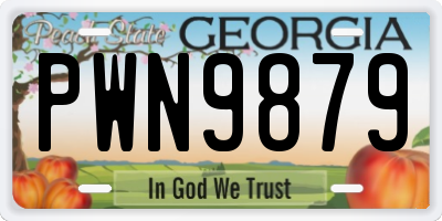 GA license plate PWN9879